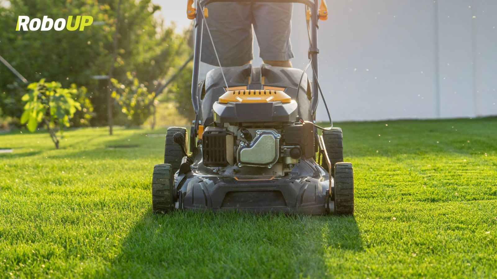 green-grass-cutting-lawn-mower-home.jpg