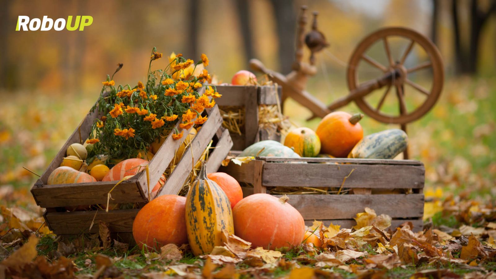 autumn-sale-season.jpg