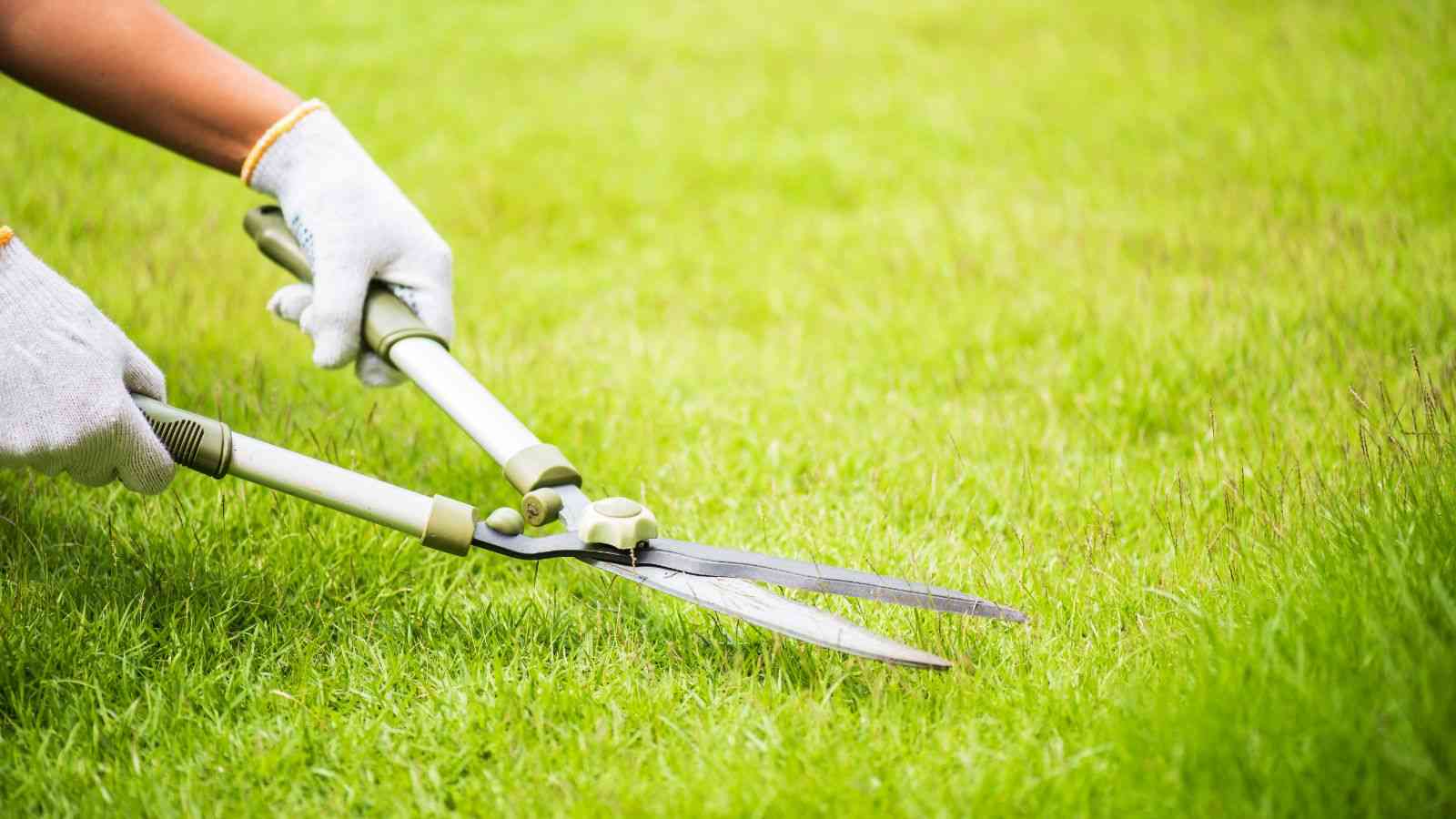 tools for mowing small lawn