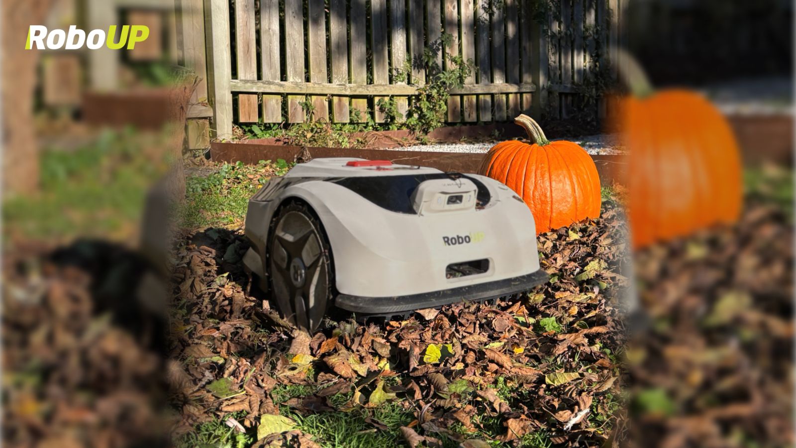 halloween-lawn-mower-mystery-2.jpg