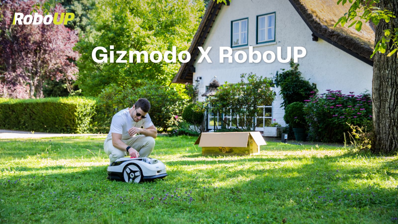 gizmodo-roboup.jpg