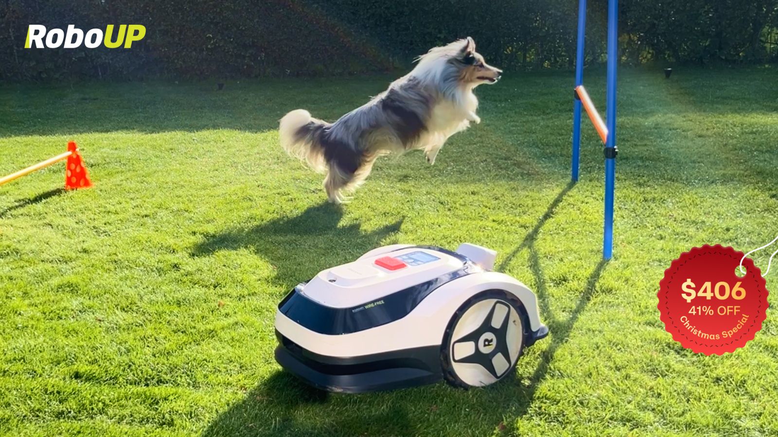 affordable-raccoon-robot-mower.jpg