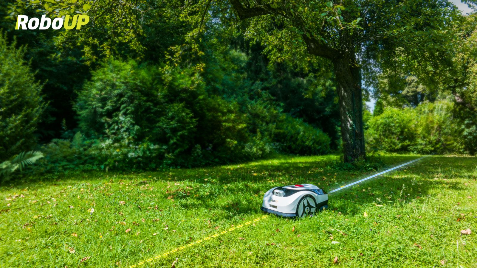 robot-mower-under-tree.jpg