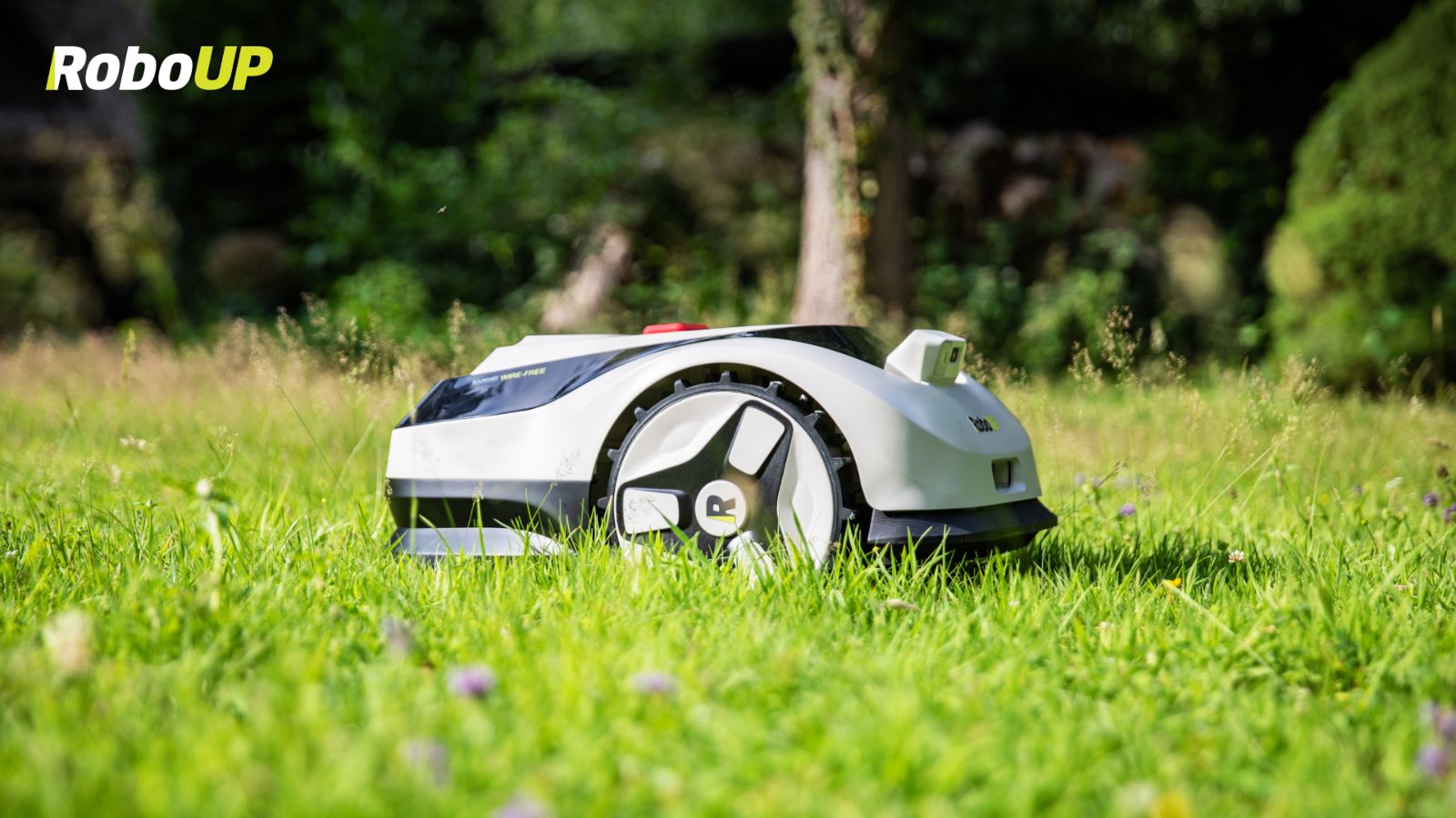 robot-mower-on-the-lawn.jpg