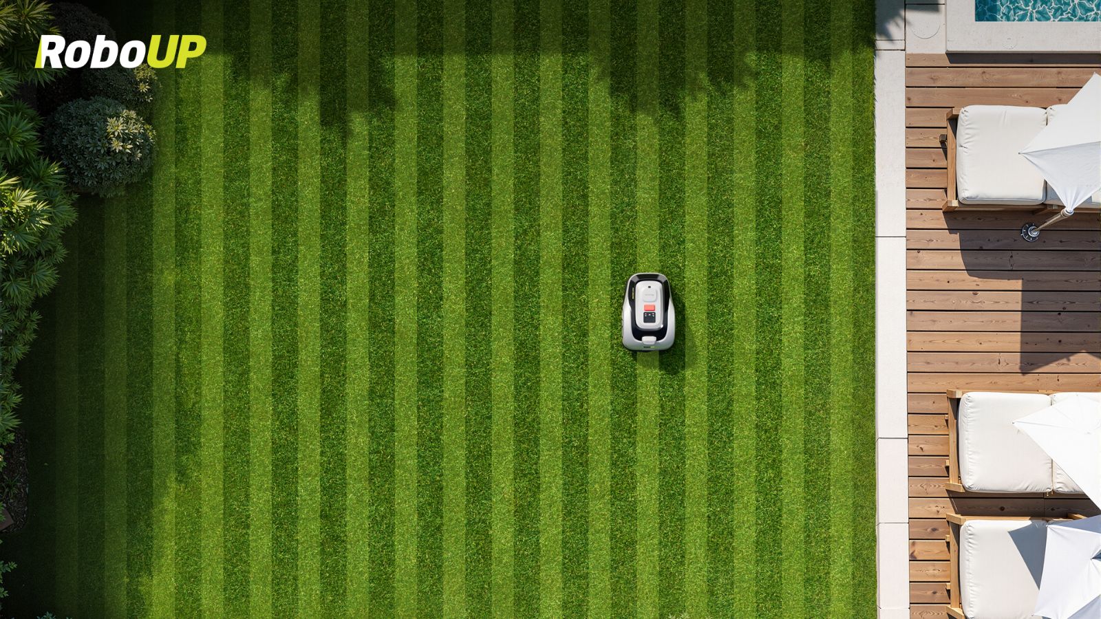 nice-trimmed-lawn.jpg