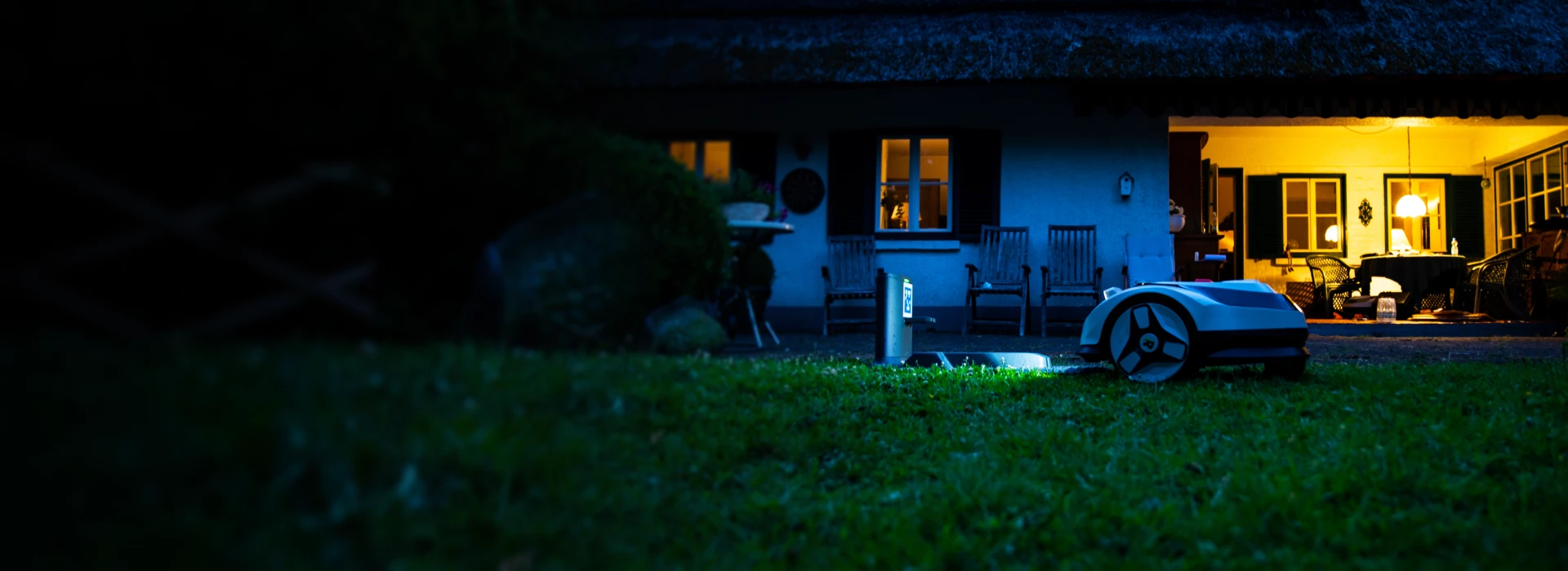 Stop nature sleep animal