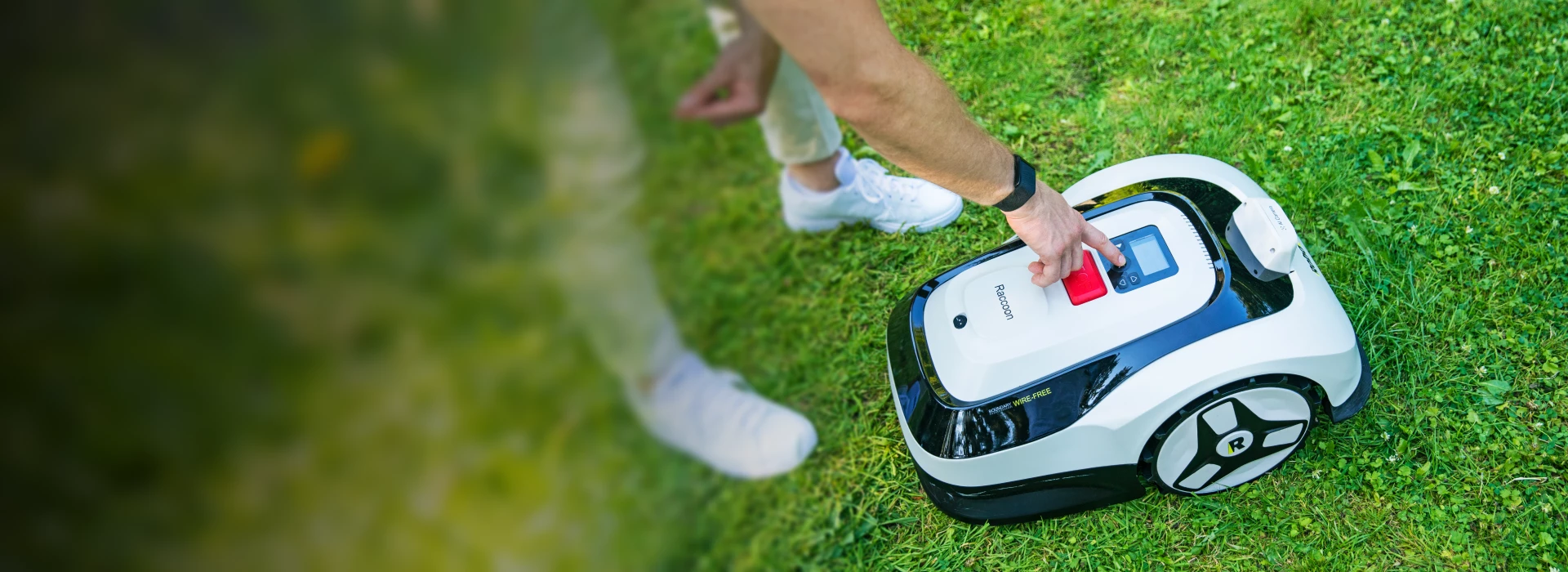 Raccoon 一件割草