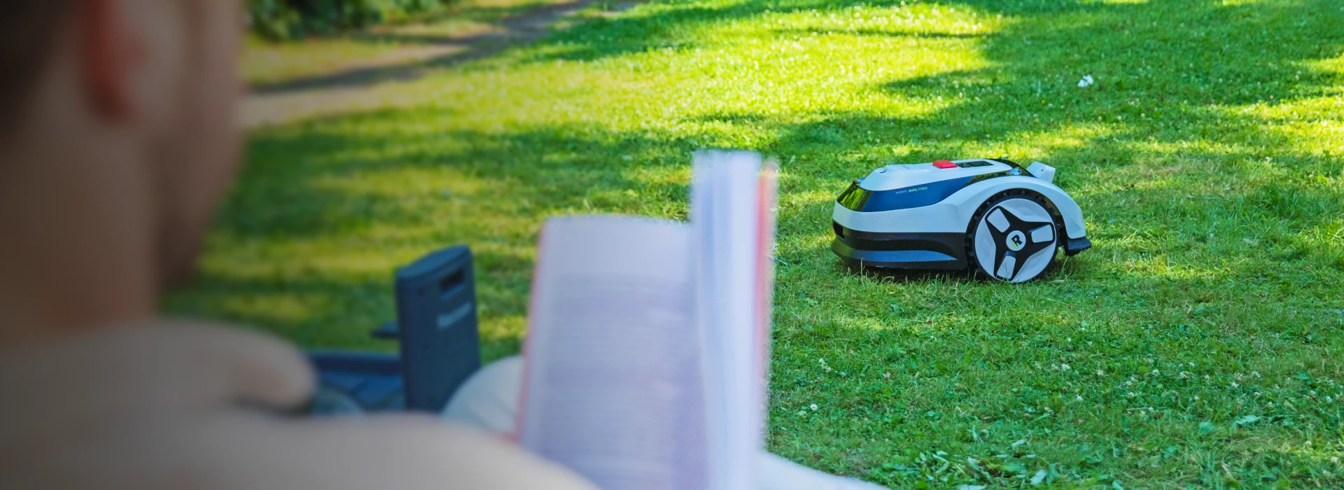 Raccoon 无需下载