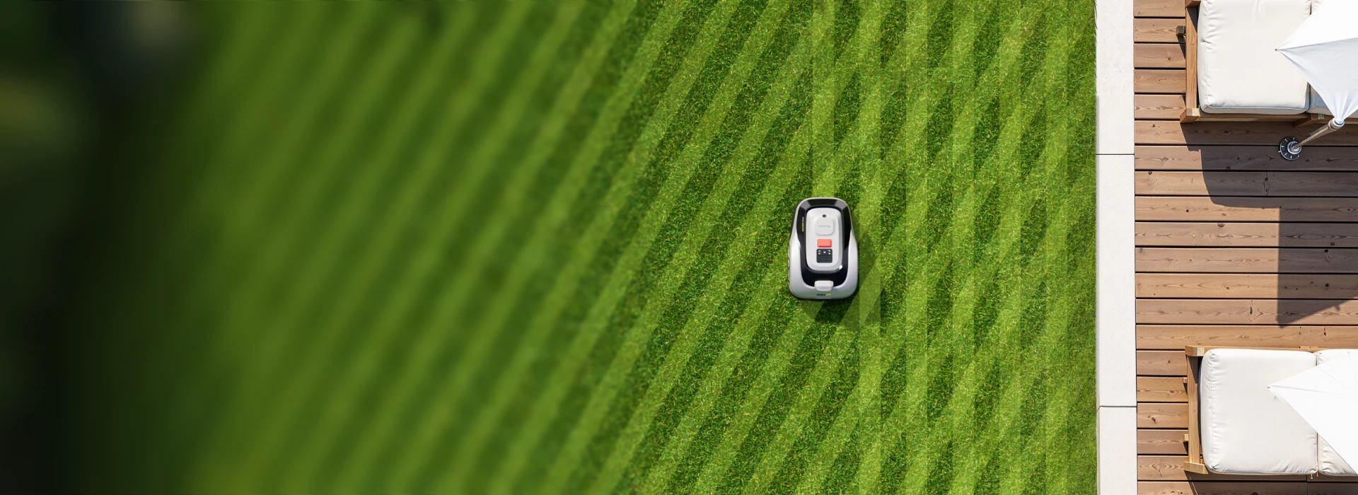 Raccoon full map parallel mowing