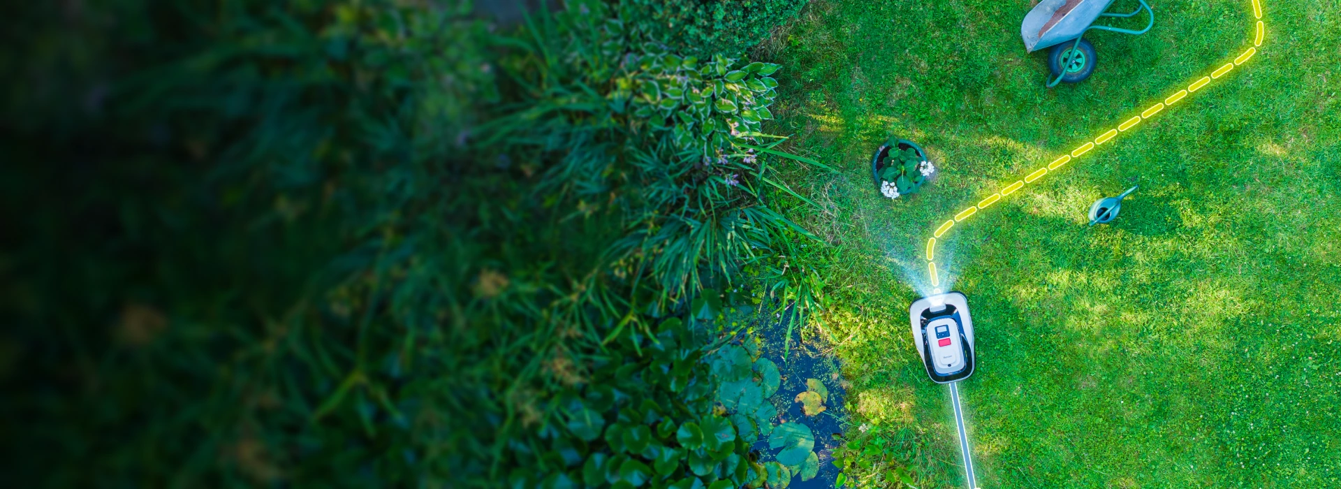 Raccoon 精准避障，AI识别和bumper检测