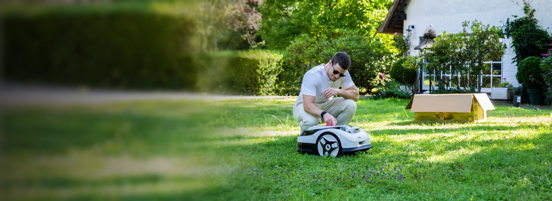 Raccoon 无需安装