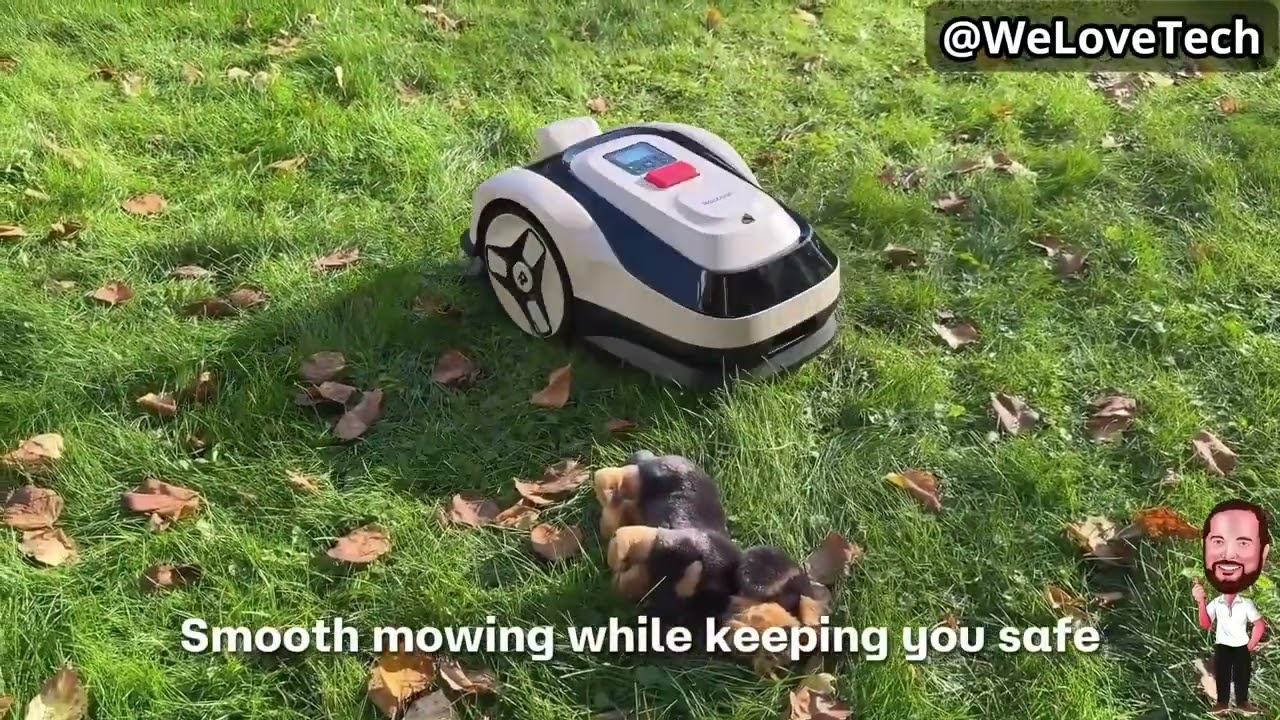 Why is my lawn always this perfect?