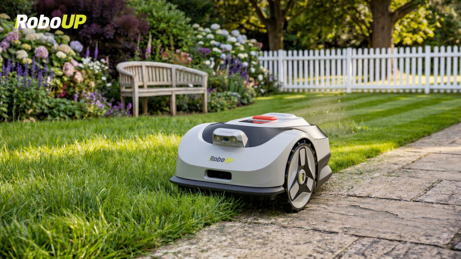 raccoon-small-lawn.jpg
