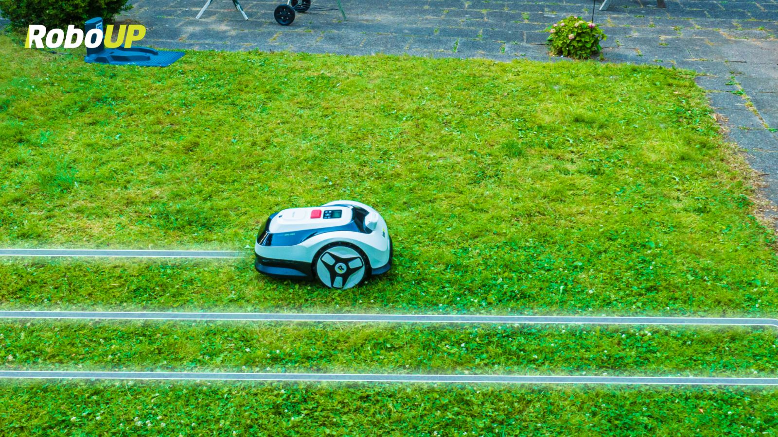 raccoon-parallel-mowing.jpg