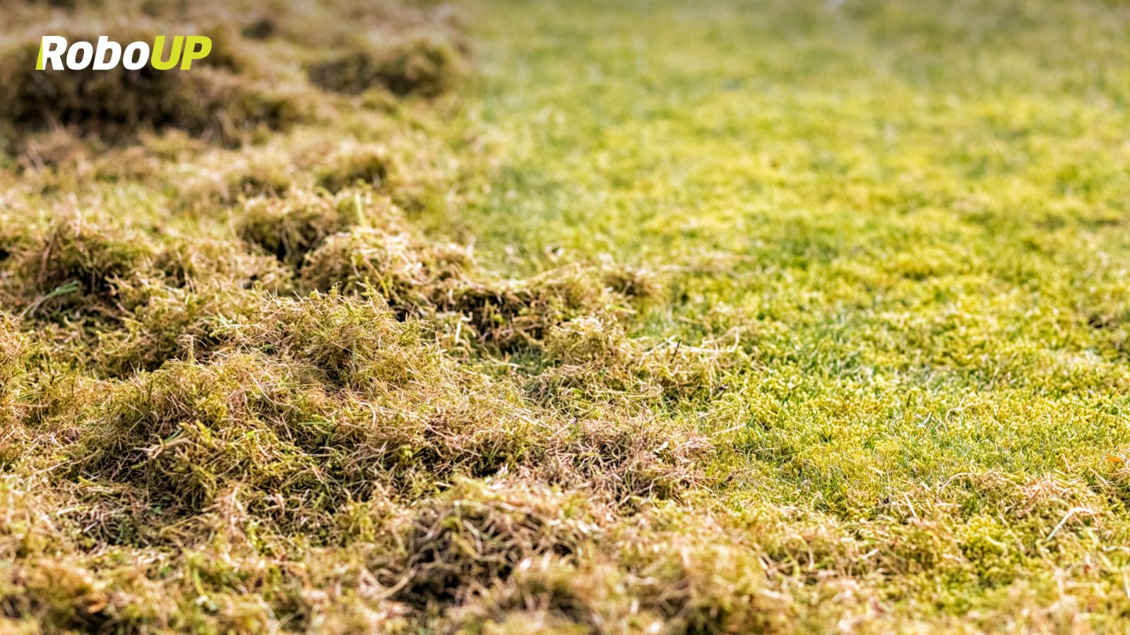 grass-clippings-soil-nutrients.jpg