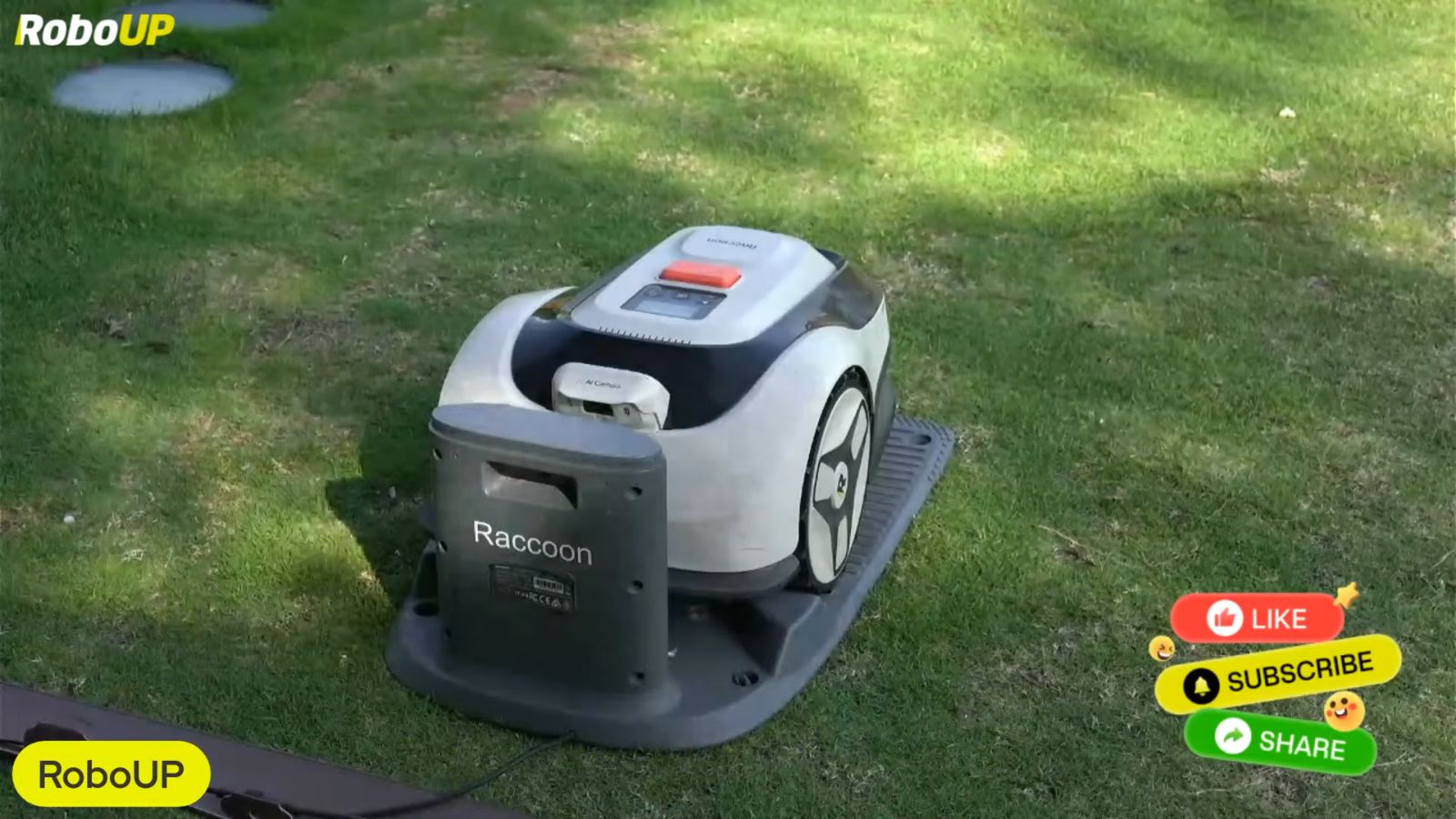 raccoon-2-se-livestream-demo-recap.jpg