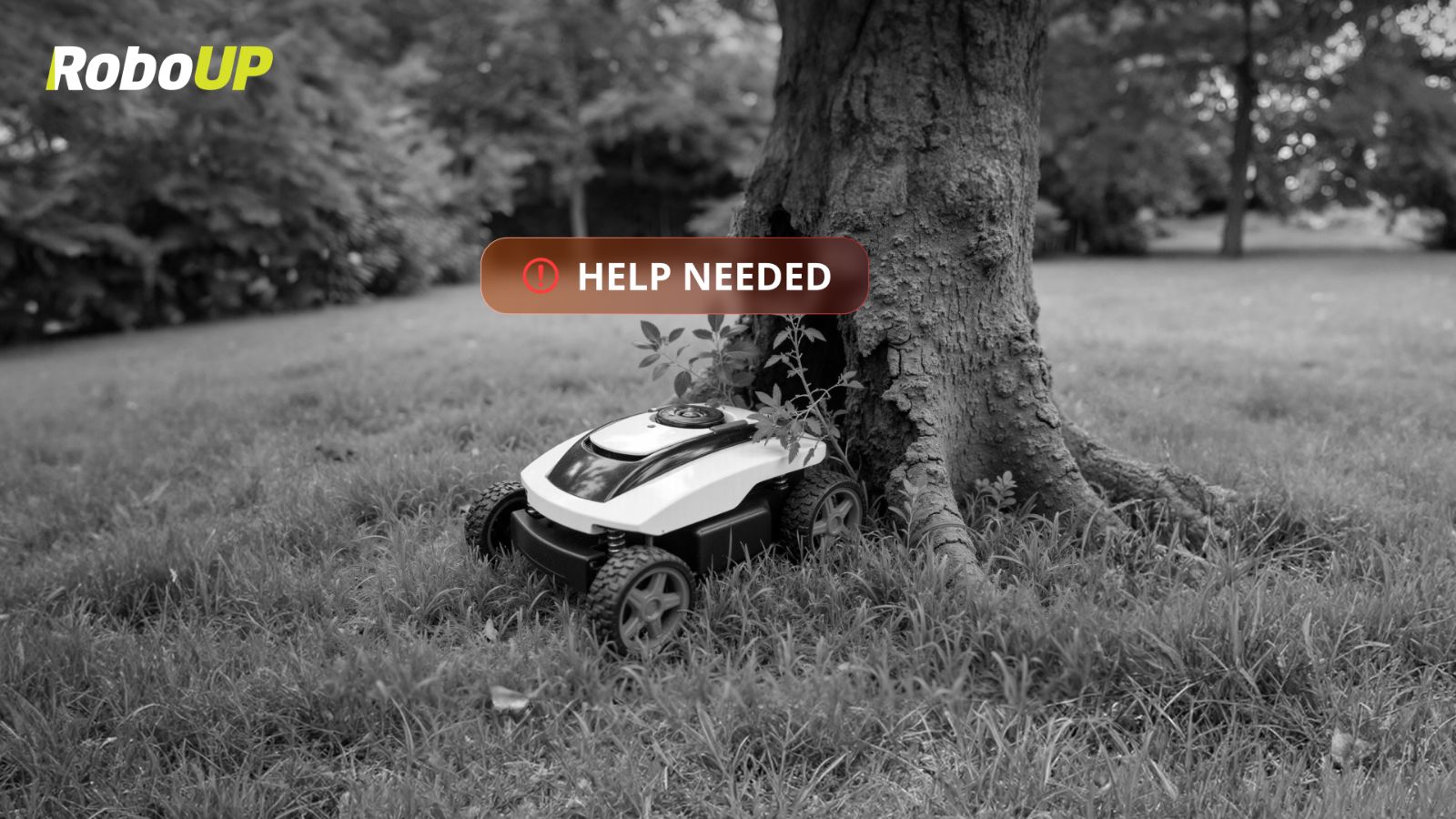 robot-mower-need-help-obstacle.jpg