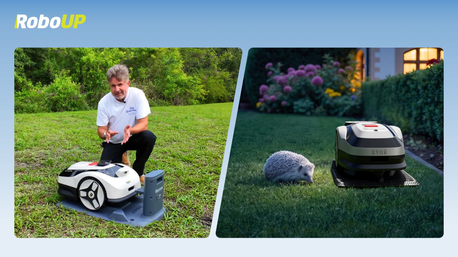 one-press-to-start-protect-wildlife-at-night-raccoon-2-se.jpg