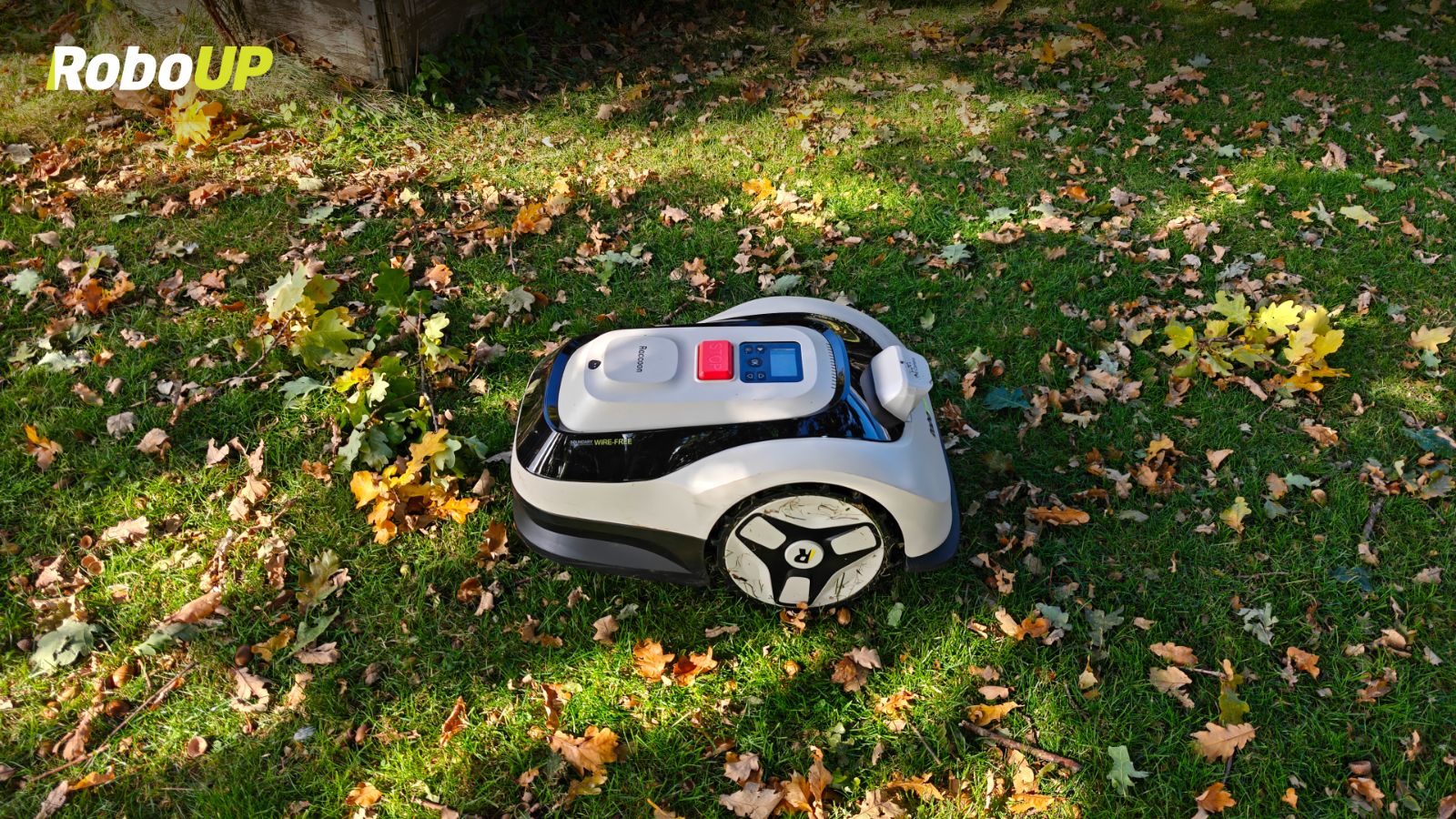 fall-lawn-care-guide.jpg