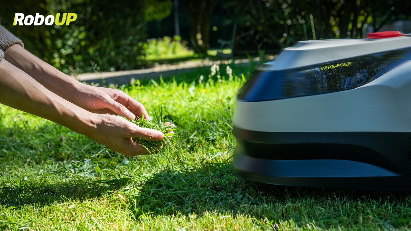 fall-lawn-care-grass.jpg